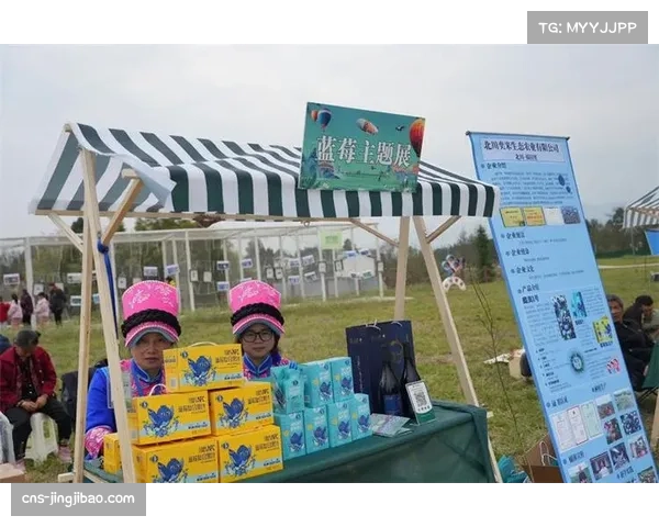 熊猫杯赛事志愿者服务到位 保障赛事顺利进行